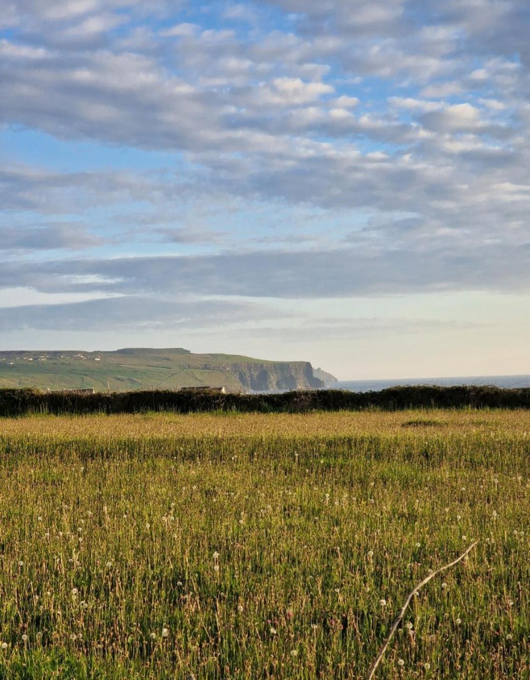 Wild Meadow Huts Vila Doolin Exterior foto
