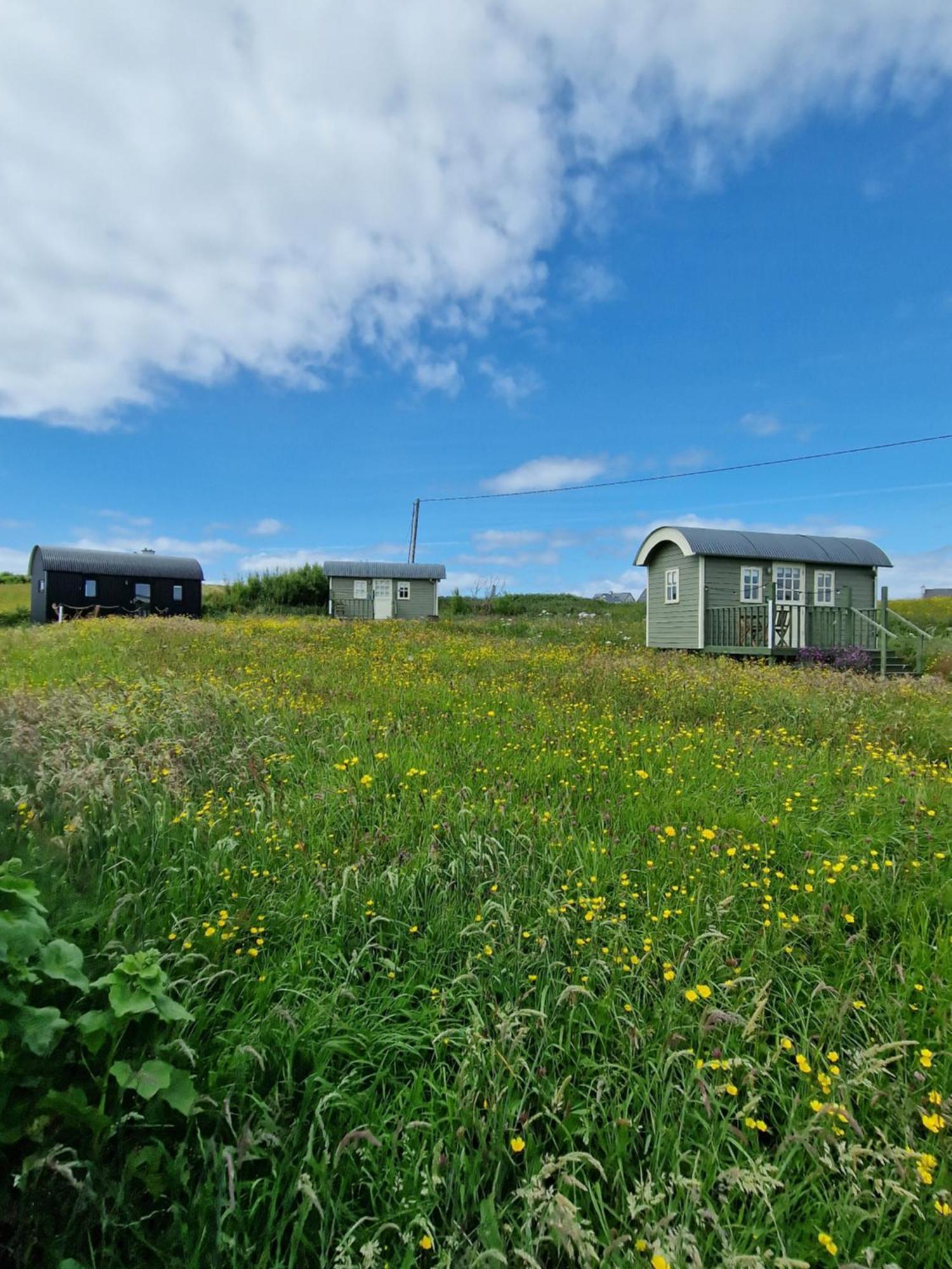 Wild Meadow Huts Vila Doolin Exterior foto