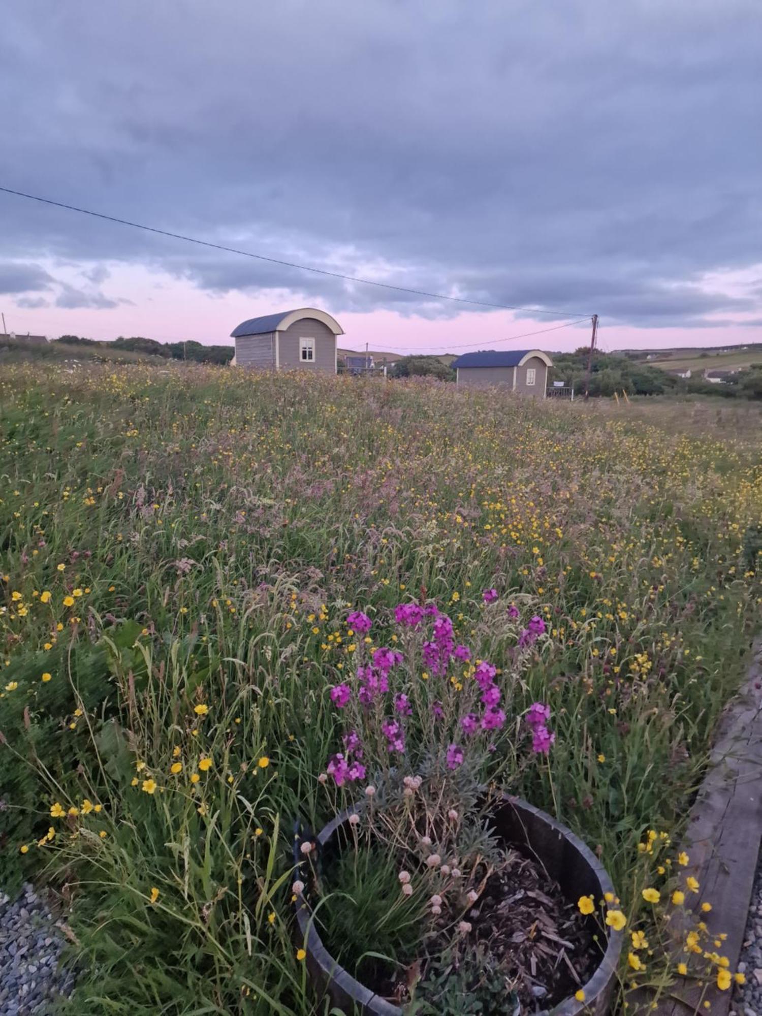 Wild Meadow Huts Vila Doolin Exterior foto