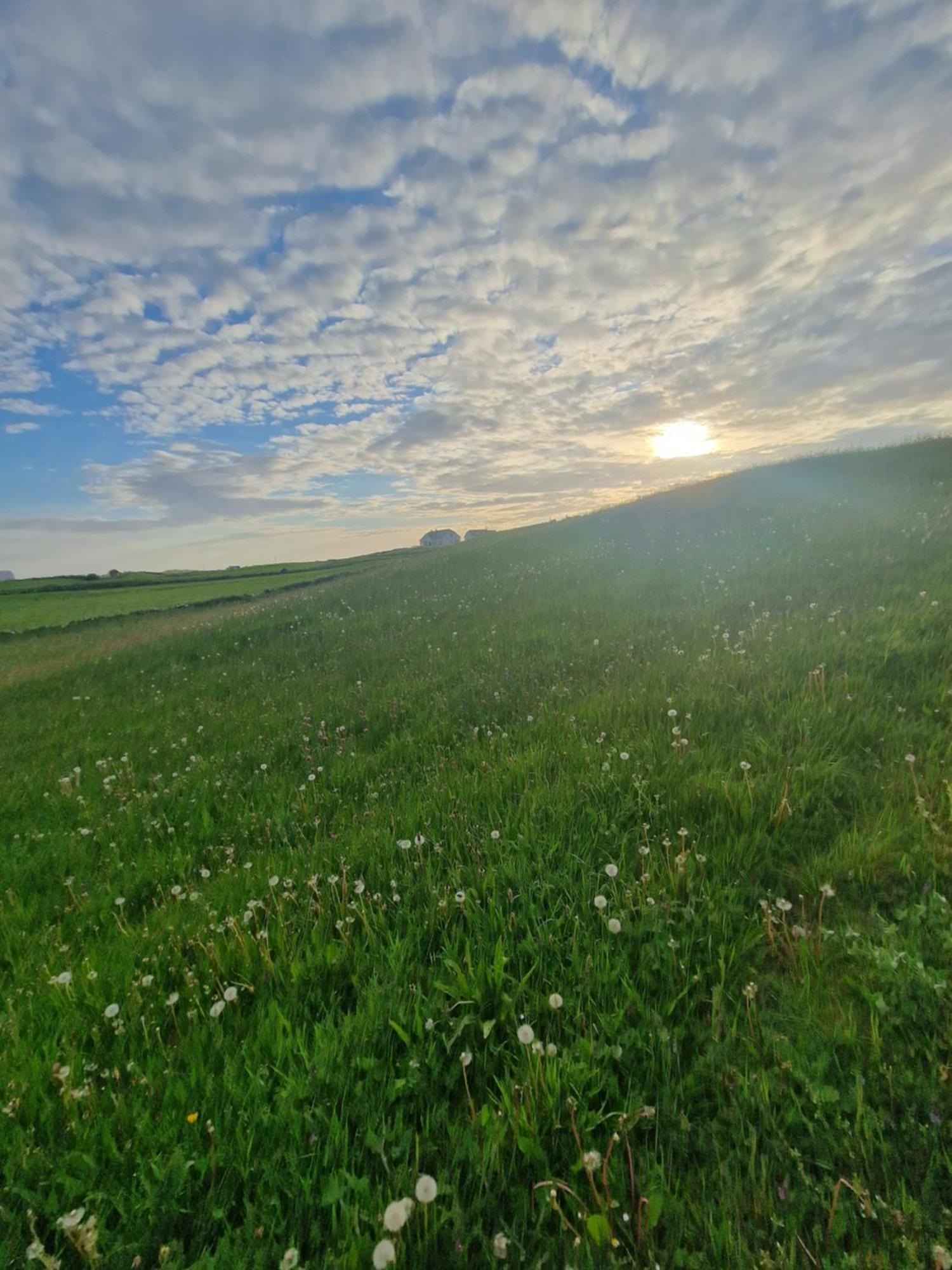 Wild Meadow Huts Vila Doolin Exterior foto